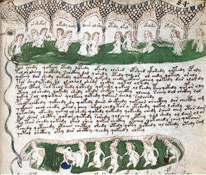 manuscripto Voynich